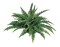 Premium Boston Fern x50, 34"D 2/PC: Lifelike Faux Greenery for Home Displays, Weddings & Centerpieces, Ideal Event & Home Decor